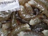 Head Less Shrimp 500g
